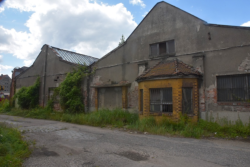 Rośliny wracają do hal po Komnicku zdjęcie nr 334849