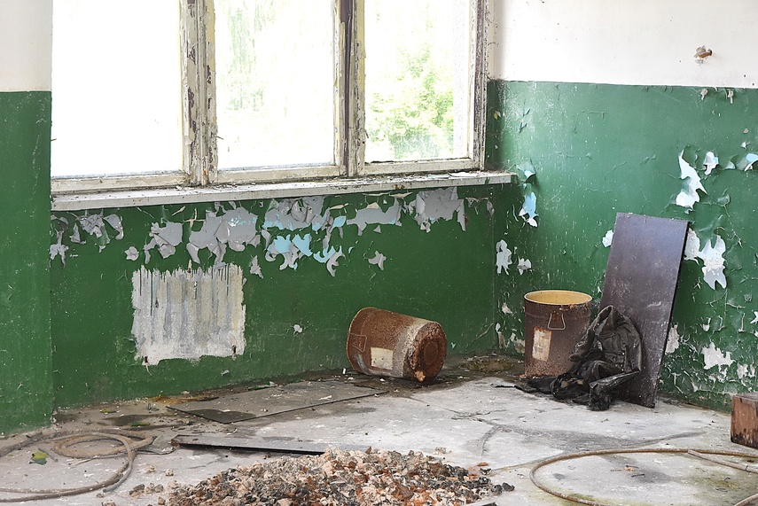 Rośliny wracają do hal po Komnicku zdjęcie nr 334906