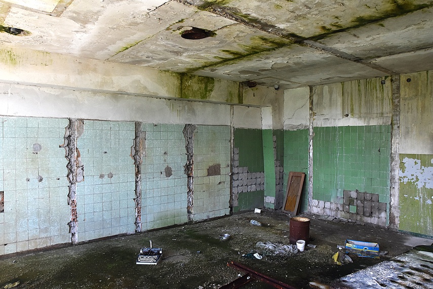 Rośliny wracają do hal po Komnicku zdjęcie nr 334904