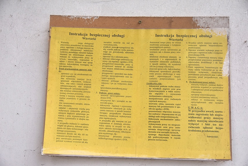 Rośliny wracają do hal po Komnicku zdjęcie nr 334864