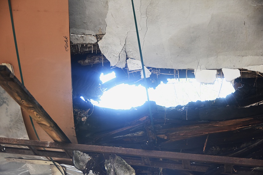 Rośliny wracają do hal po Komnicku zdjęcie nr 334859