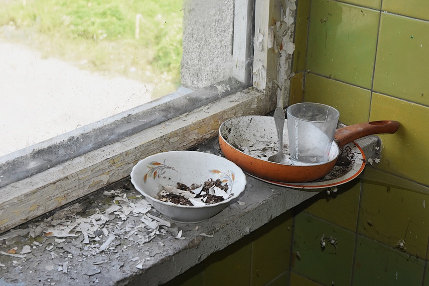 Rośliny wracają do hal po Komnicku zdjęcie nr 334909