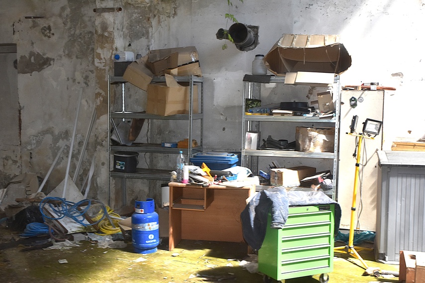 Rośliny wracają do hal po Komnicku zdjęcie nr 334870