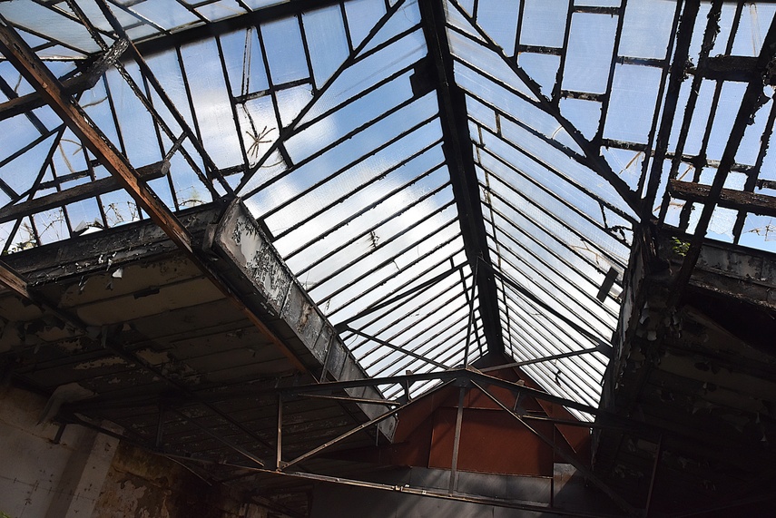 Rośliny wracają do hal po Komnicku zdjęcie nr 334878
