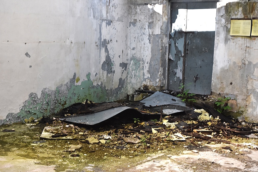Rośliny wracają do hal po Komnicku zdjęcie nr 334892