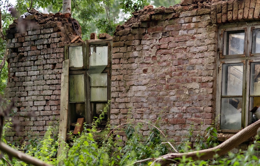 Tajemniczy dwór w Gaudynach  (Letnie przystAnki  odc. 8)  zdjęcie nr 335361
