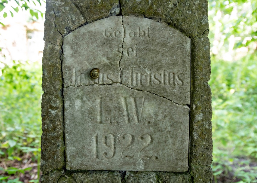 Tajemniczy dwór w Gaudynach  (Letnie przystAnki  odc. 8)  zdjęcie nr 335358
