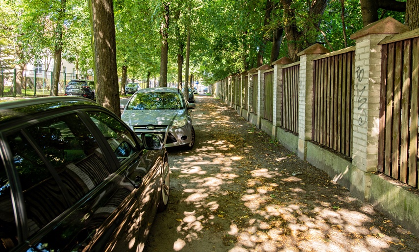 Uroki pływania, bóle parkowania zdjęcie nr 335565