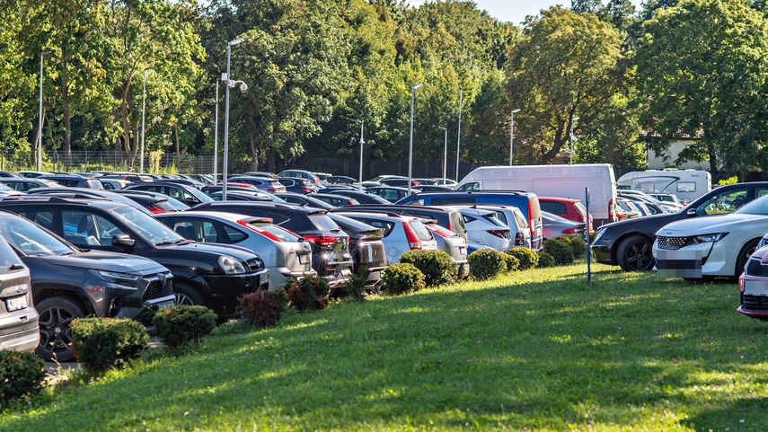 Uroki pływania, bóle parkowania zdjęcie nr 335559