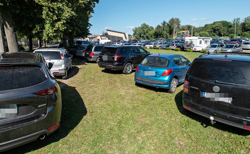 Uroki pływania, bóle parkowania zdjęcie nr 335549