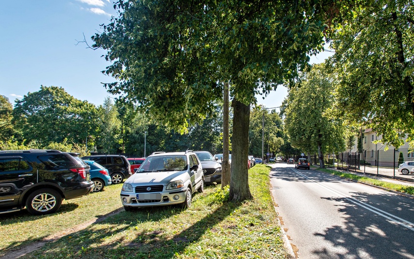 Uroki pływania, bóle parkowania zdjęcie nr 335550