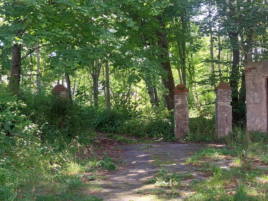 Ponary (Letnie przystAnki odc. 8) zdjęcie nr 335617