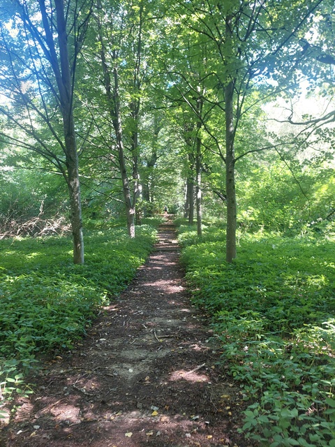 Ponary (Letnie przystAnki odc. 8) zdjęcie nr 335629