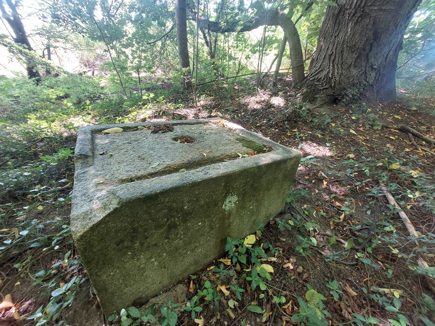 Ponary (Letnie przystAnki odc. 8) zdjęcie nr 335627