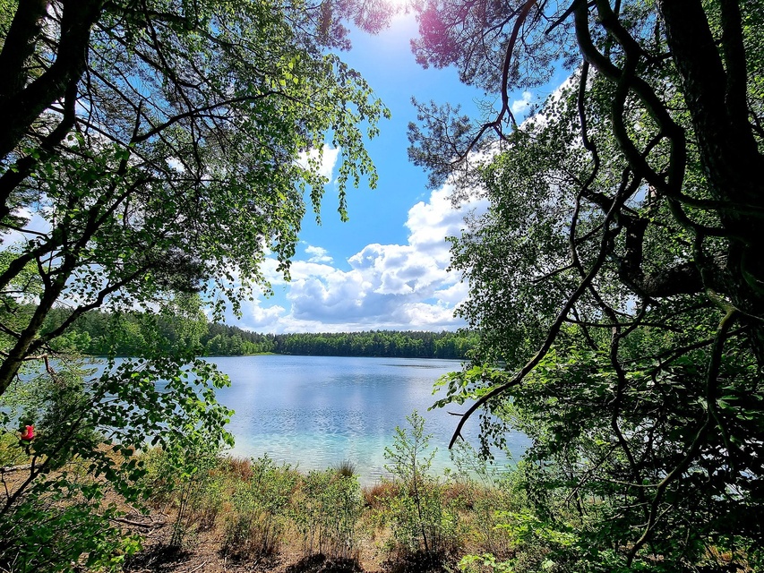 Kierunek Malediwy (Letnie przystAnki odc. 9) zdjęcie nr 336050