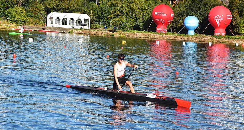 Złoto dla zuchwałych zdjęcie nr 336188