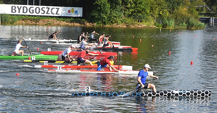 Złoto dla zuchwałych zdjęcie nr 336179