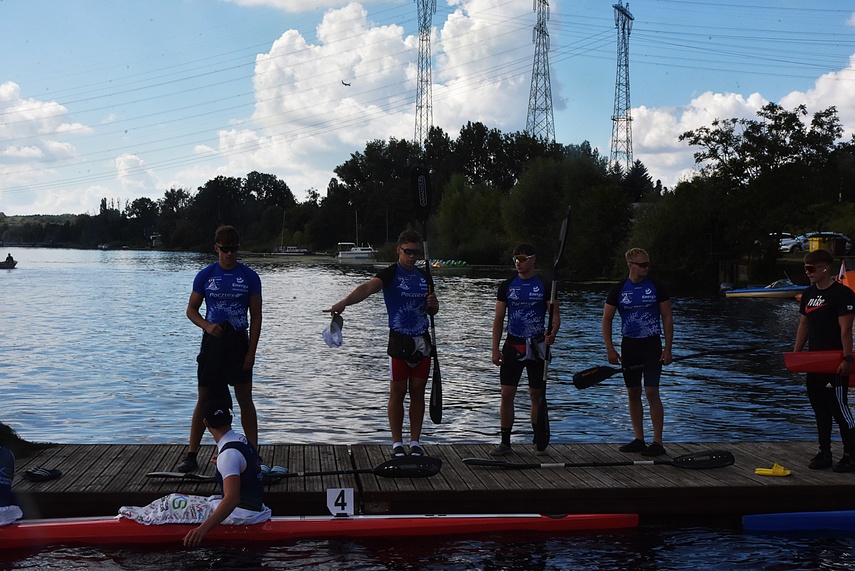 Złoto dla zuchwałych zdjęcie nr 336152