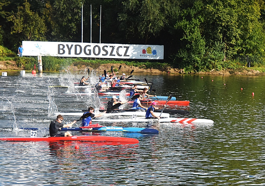 Złoto dla zuchwałych zdjęcie nr 336177