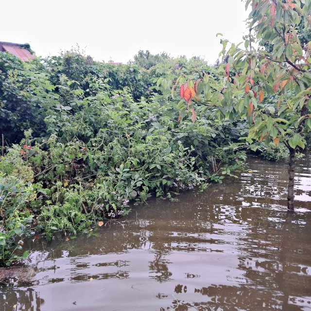 działka zdjęcie nr 336241
