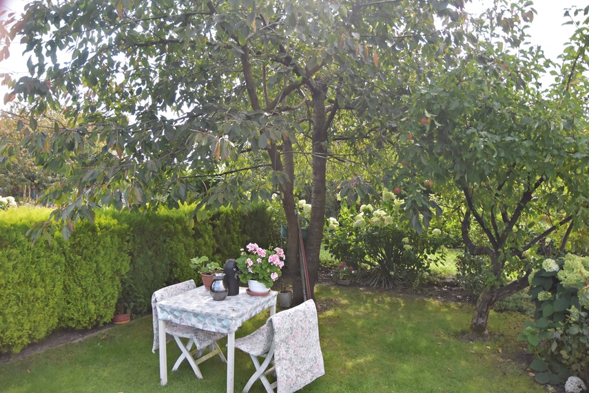 działka zdjęcie nr 336273