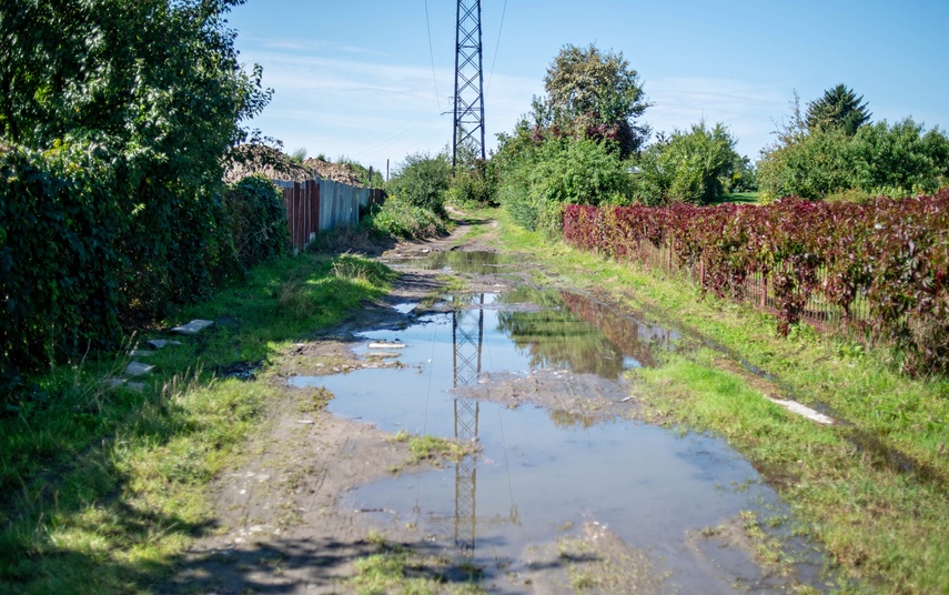 działka zdjęcie nr 336255