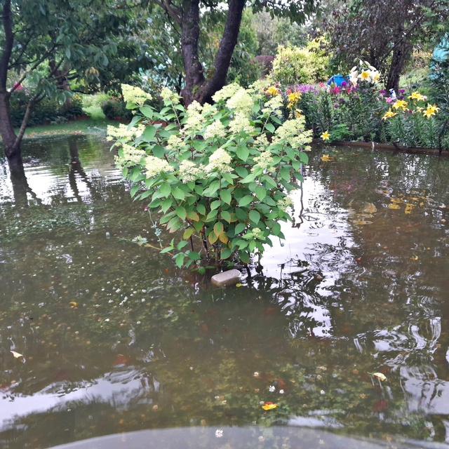 działka zdjęcie nr 336244