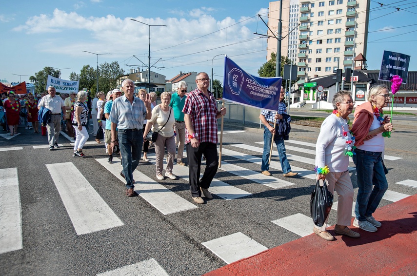 Miasto Seniorów zdjęcie nr 336613