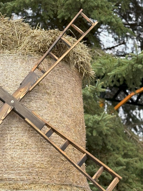 Dyniowa Farma startuje 20 września w Nowej Holandii zdjęcie nr 336821