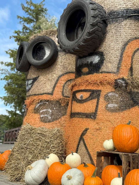 Dyniowa Farma startuje 20 września w Nowej Holandii zdjęcie nr 336827