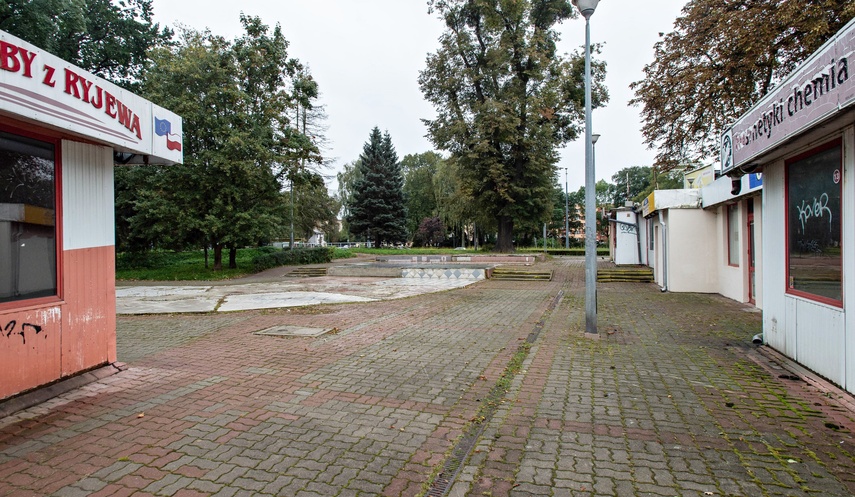 Więcej zieleni koło czołgu zdjęcie nr 337581