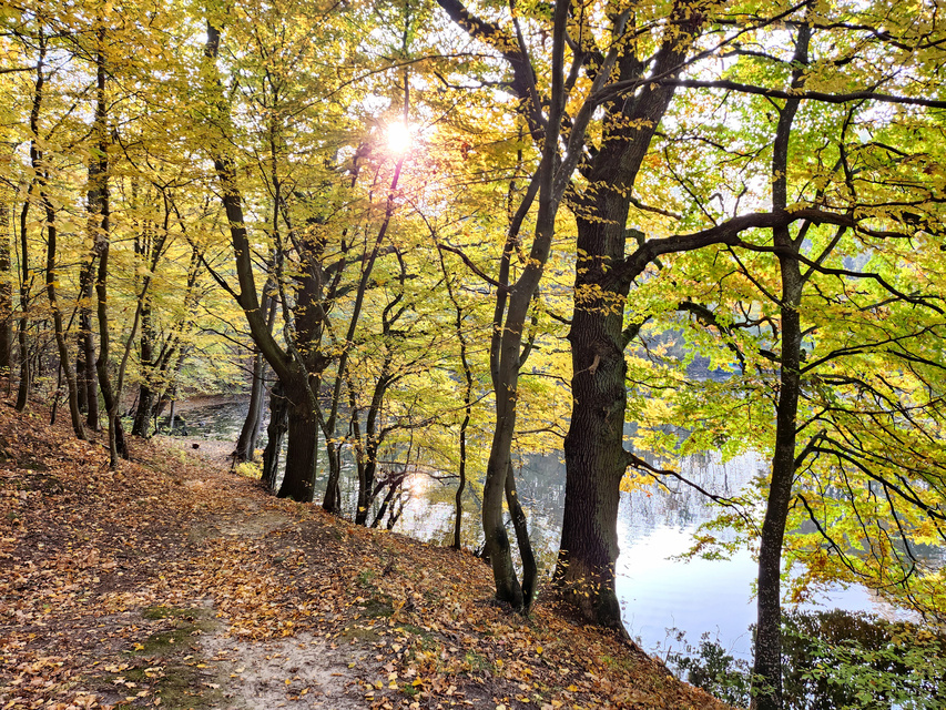 Na wzgórzu przy Dąbrowskiego powstaje coś wyjątkowego… zdjęcie nr 338524 Na wzgórzu przy Dąbrowskiego powstaje coś wyjątkowego… zdjęcie nr 338524