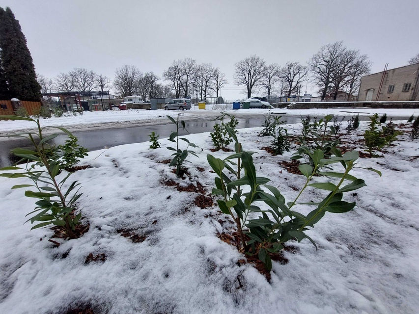 Plac dworcowy po remoncie zdjęcie nr 339917