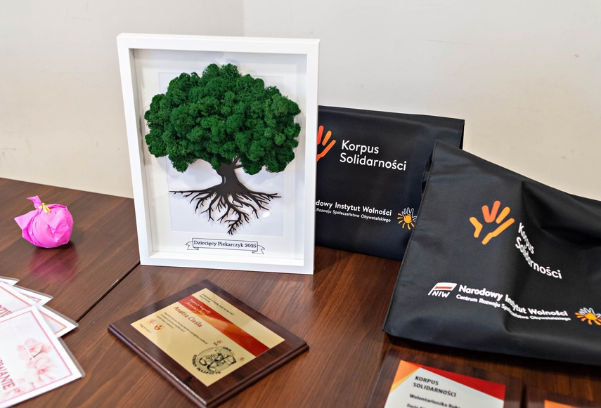 Nagrodzono najaktywniejszych wolontariuszy zdjęcie nr 340317