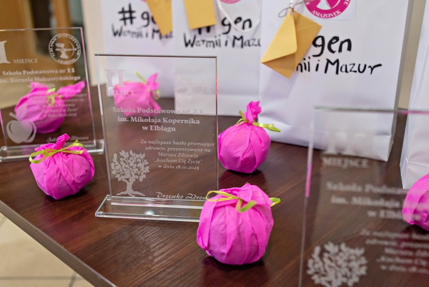 Nagrodzono najaktywniejszych wolontariuszy zdjęcie nr 340316