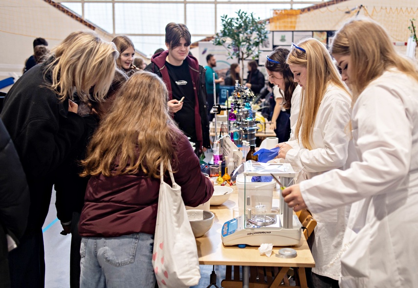 Ósma klasa. I co dalej? zdjęcie nr 340385