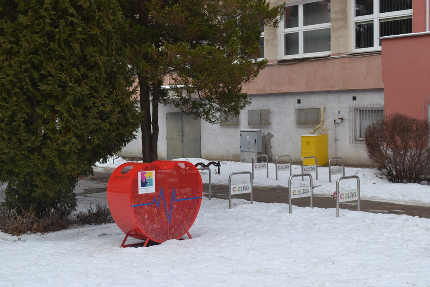 Nowa szkoła nr 9 zdjęcie nr 343641