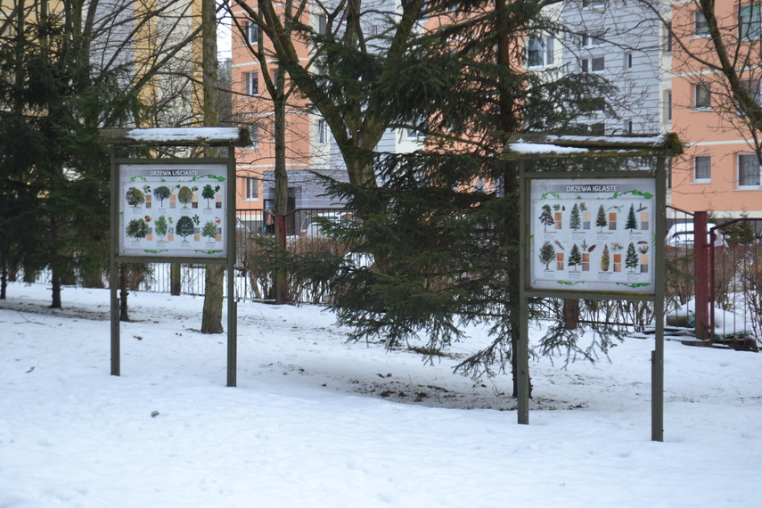 Nowa szkoła nr 9 zdjęcie nr 343640