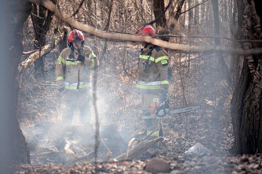 Pożar traw przy Wschodniej zdjęcie nr 344466