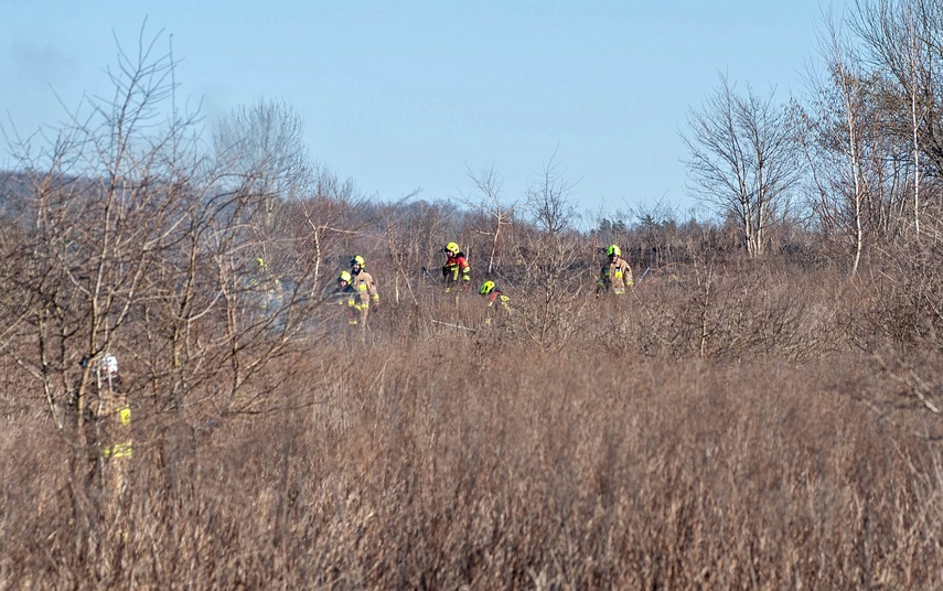 Pożar traw przy Wschodniej zdjęcie nr 344453