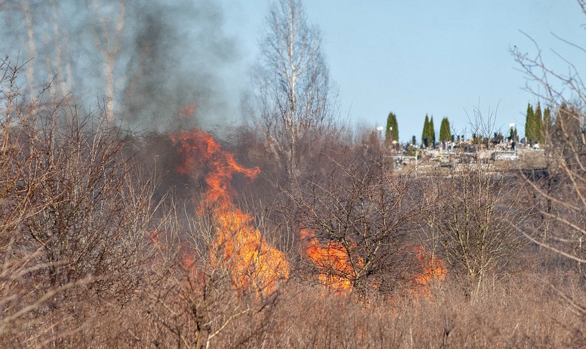 Pożar traw przy Wschodniej zdjęcie nr 344456
