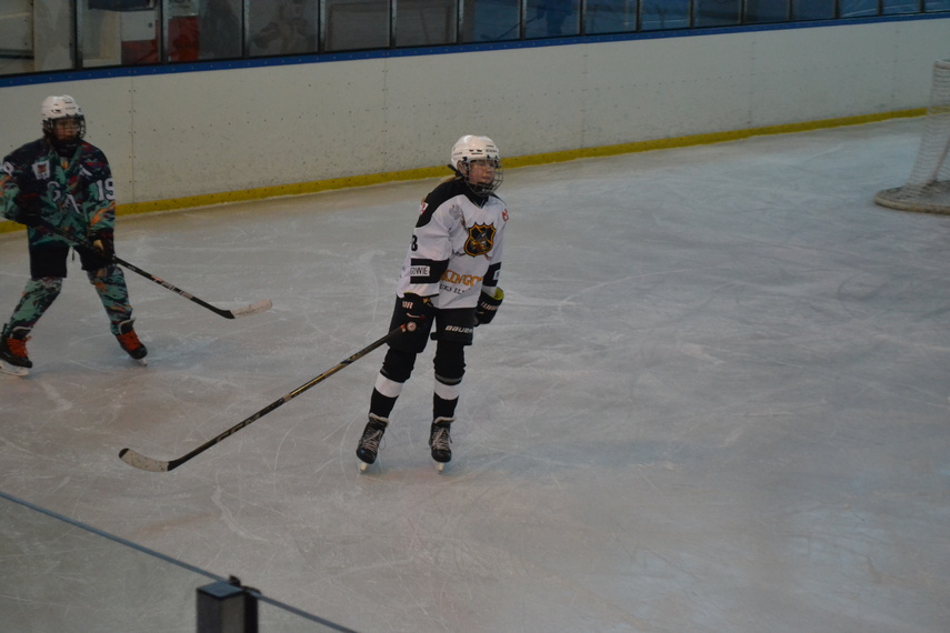 Mały, wielki hokej zdjęcie nr 344651