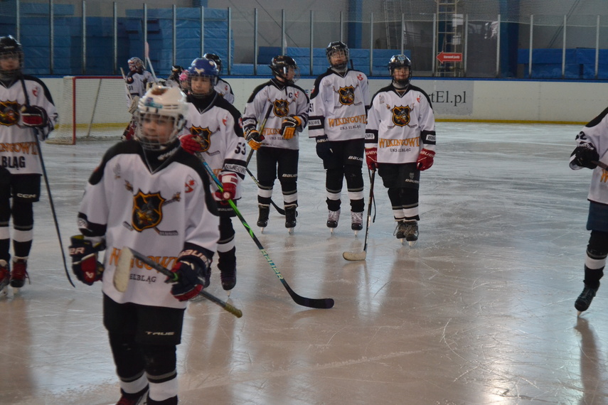 Mały, wielki hokej zdjęcie nr 344632