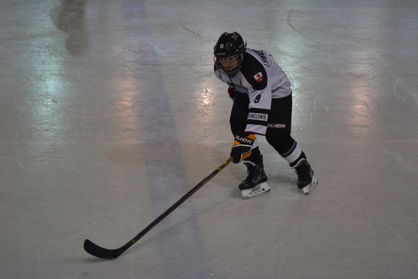 Mały, wielki hokej zdjęcie nr 344638