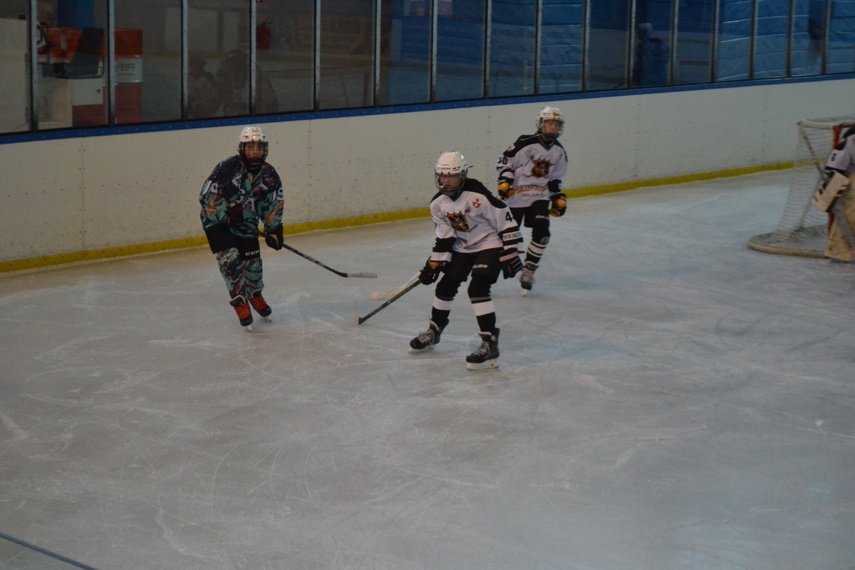 Mały, wielki hokej zdjęcie nr 344650