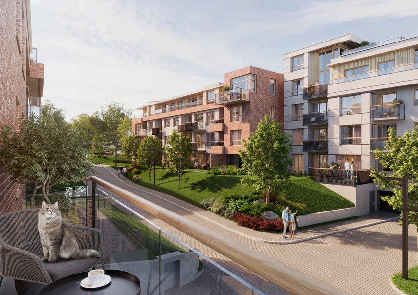 Warszawskie Przedmieście w Elblągu. Atuty miasta i bliskość natury w jednym zdjęcie nr 344687