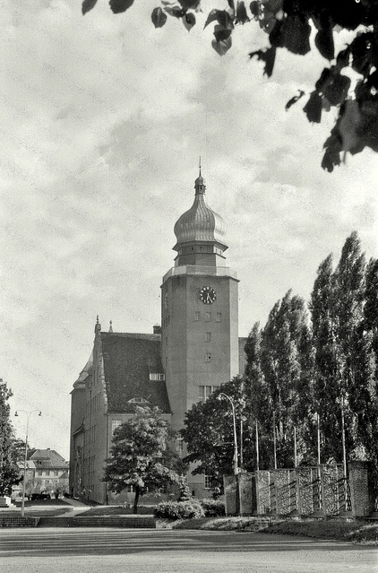 Urząd Miejski w Elblągu