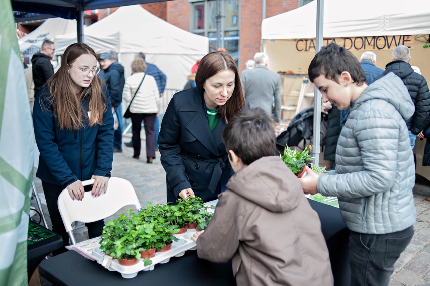 Wielkanocny kiermasz na starówce zdjęcie nr 344890