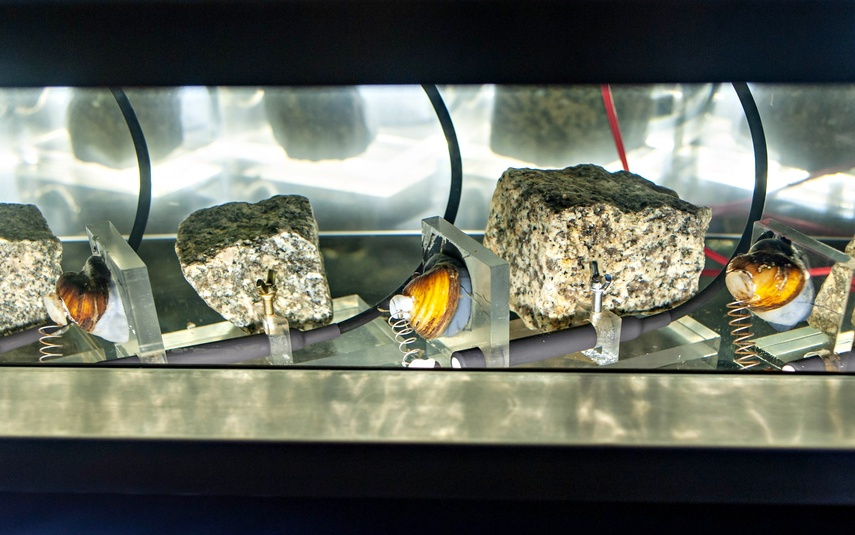 Woda pod specjalnym nadzorem zdjęcie nr 345032