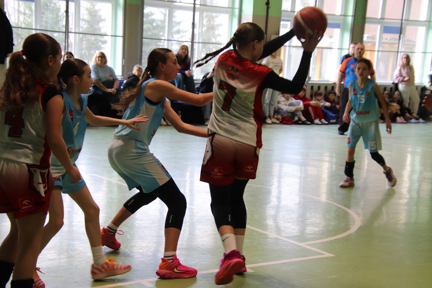 Elbasket: trzy dni emocji pod koszem zdjęcie nr 345515